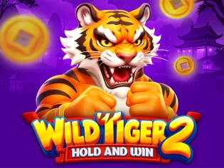 Wild Tiger 2 screenshot